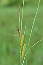 BUITEN BEELD Foto: 447260
