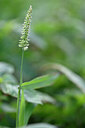BUITEN BEELD Foto: 447265