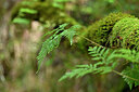 BUITEN BEELD Foto: 447267