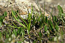 BUITEN BEELD Foto: 447273