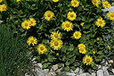 BUITEN BEELD Foto: 447276