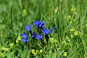 BUITEN BEELD Foto: 447278