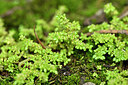 BUITEN BEELD Foto: 447284