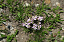 BUITEN BEELD Foto: 447294