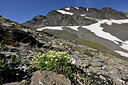 BUITEN BEELD Foto: 447297