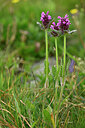 BUITEN BEELD Foto: 447298