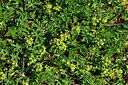BUITEN BEELD Foto: 447300