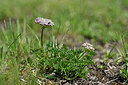 BUITEN BEELD Foto: 447301