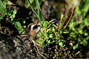 BUITEN BEELD Foto: 447304