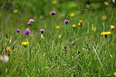 BUITEN BEELD Foto: 447308