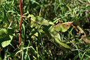 BUITEN BEELD Foto: 447309