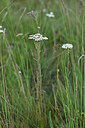 BUITEN BEELD Foto: 447310