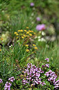 BUITEN BEELD Foto: 447312