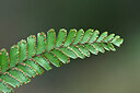 BUITEN BEELD Foto: 447316