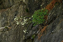 BUITEN BEELD Foto: 447324