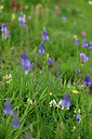 BUITEN BEELD Foto: 447327