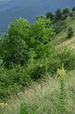 BUITEN BEELD Foto: 447332