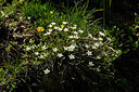 BUITEN BEELD Foto: 447333