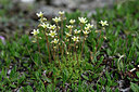BUITEN BEELD Foto: 447336