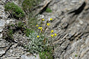 BUITEN BEELD Foto: 447341