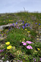 BUITEN BEELD Foto: 447345