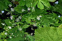 BUITEN BEELD Foto: 447348