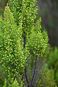 BUITEN BEELD Foto: 447354