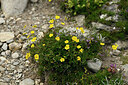 BUITEN BEELD Foto: 447356