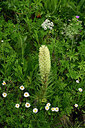 BUITEN BEELD Foto: 447365