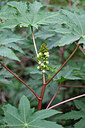 BUITEN BEELD Foto: 447367