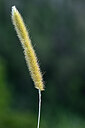 BUITEN BEELD Foto: 447371