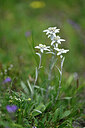 BUITEN BEELD Foto: 447373