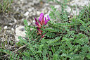 BUITEN BEELD Foto: 447374