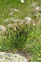 BUITEN BEELD Foto: 447375