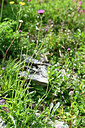 BUITEN BEELD Foto: 447378