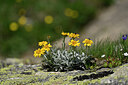 BUITEN BEELD Foto: 447381