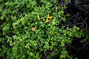 BUITEN BEELD Foto: 447382
