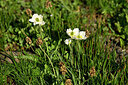 BUITEN BEELD Foto: 447383
