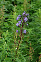 BUITEN BEELD Foto: 447388
