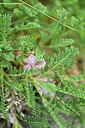 BUITEN BEELD Foto: 447389