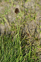 BUITEN BEELD Foto: 447392