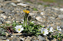 BUITEN BEELD Foto: 447393