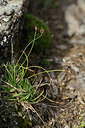 BUITEN BEELD Foto: 447395