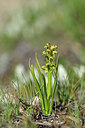 BUITEN BEELD Foto: 447396