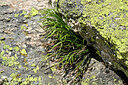 BUITEN BEELD Foto: 447398