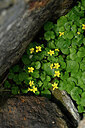 BUITEN BEELD Foto: 447399
