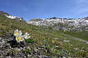 BUITEN BEELD Foto: 447400