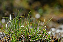 BUITEN BEELD Foto: 447403