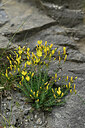 BUITEN BEELD Foto: 447404