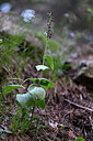 BUITEN BEELD Foto: 447405
